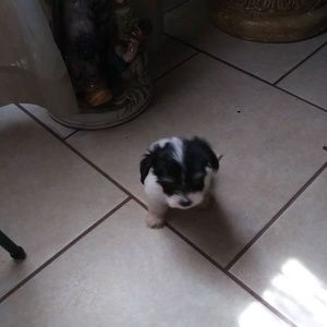 Meet your Posher, Fabiola